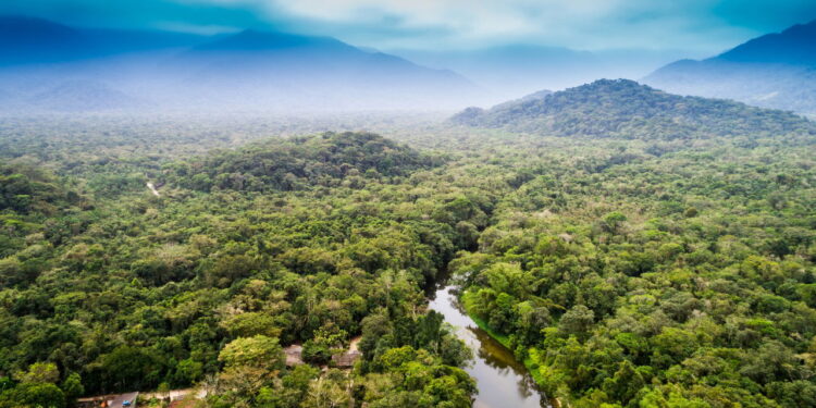 Lugares no mundo onde a vida selvagem é a verdadeira estrela