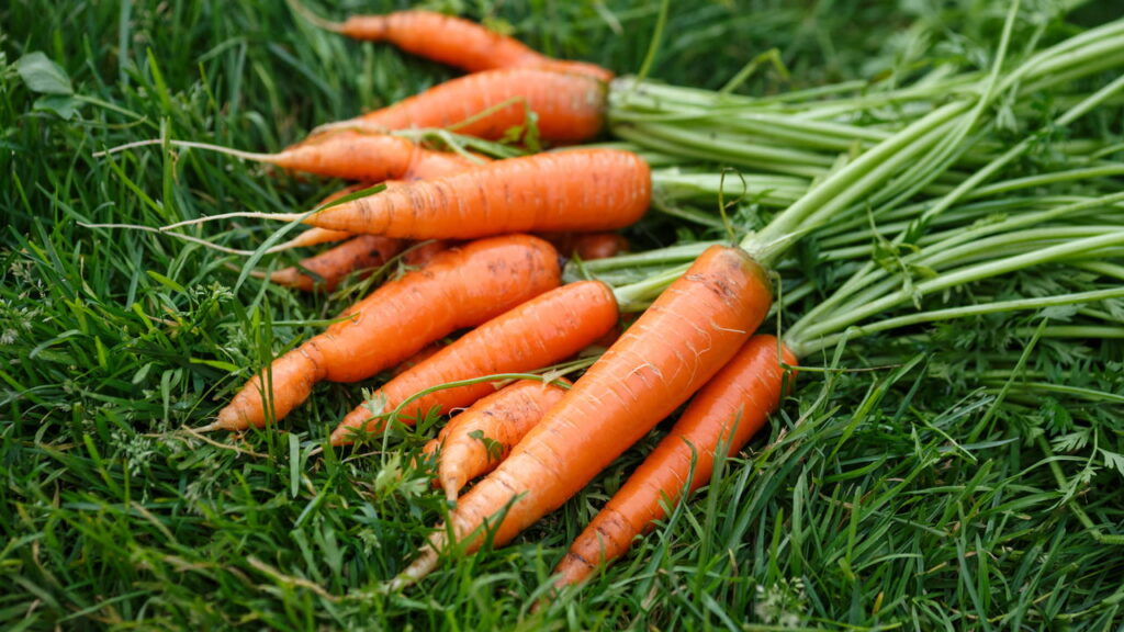 O top 5 dos vegetais que farão seu coração bater no ritmo certo de saúde!