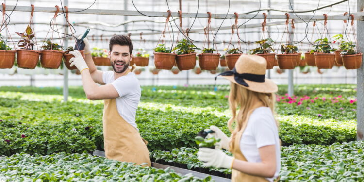 Sua saúde começa no jardim! Veja incríveis ganhos físicos e mentais