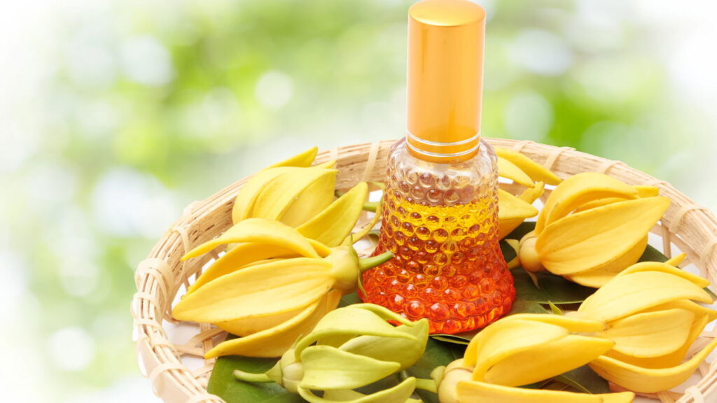 Aromas