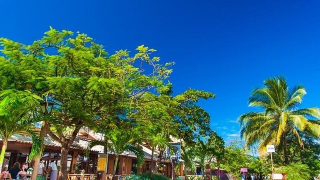 Por que Camaçari virou febre? Guia completo do destino baiano