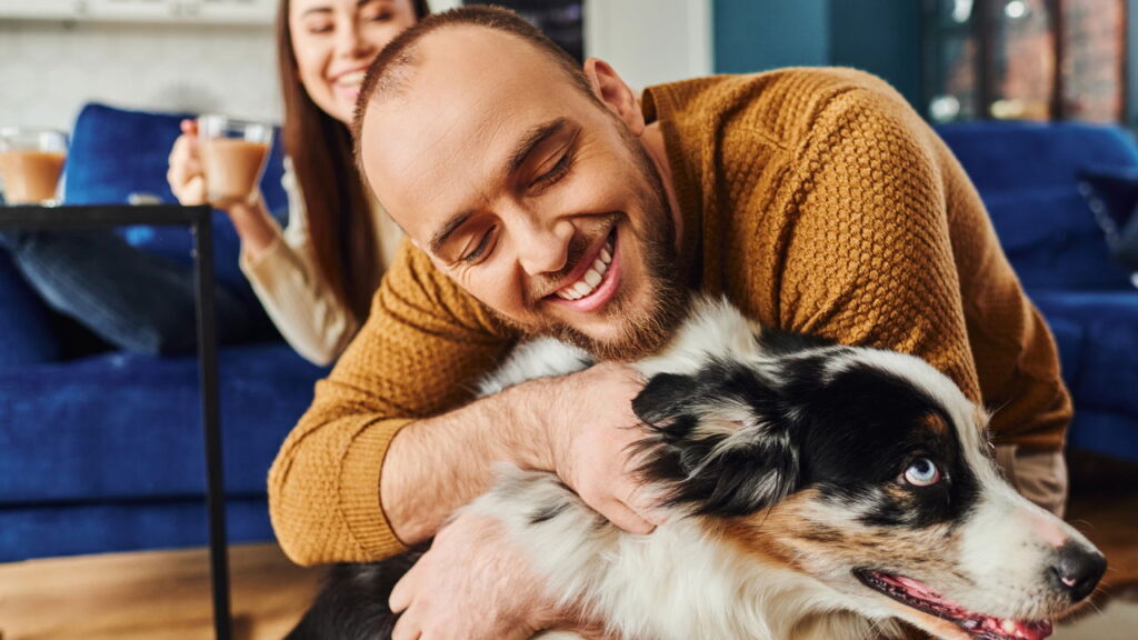 O segredo de uma casa limpa e segura para seu cão
