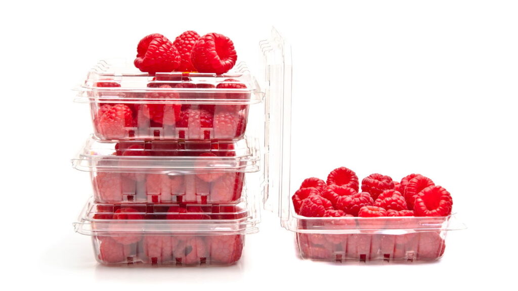 Transforme embalagens de frutas em berçários de plantas