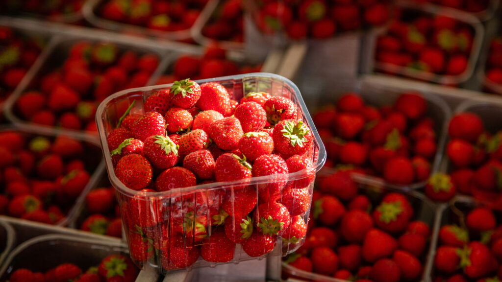 Transforme embalagens de frutas em berçários de plantas