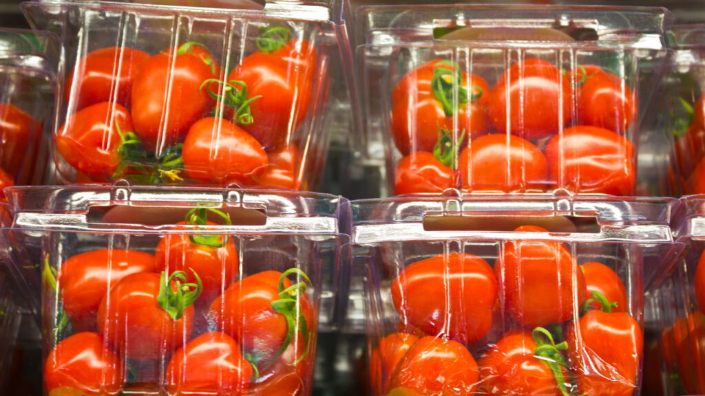 Transforme embalagens de frutas em berçários de plantas