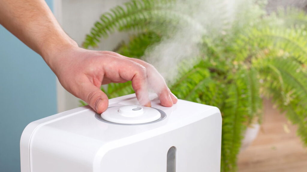5 dicas simples para economizar energia com o humidificador