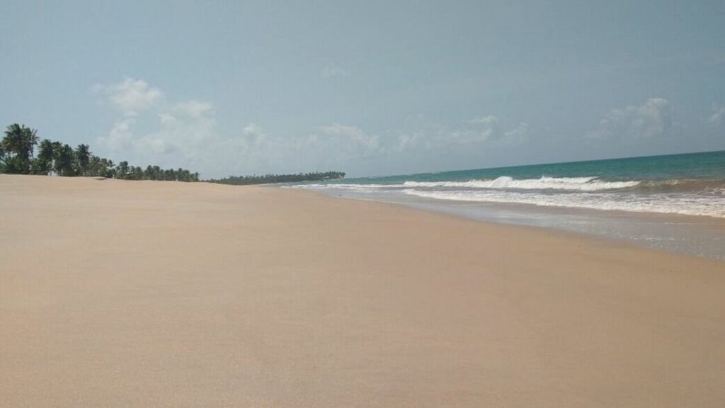 Por que Camaçari virou febre? Guia completo do destino baiano