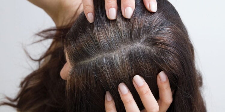 Esse shampoo virou o xodó dos salões e você vai entender o motivo