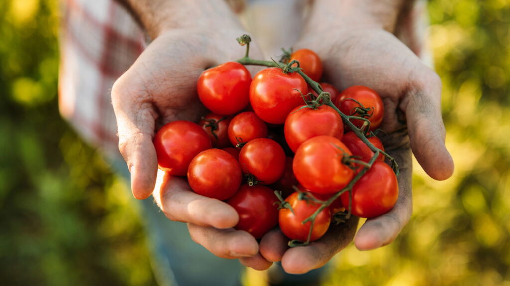 O top 5 dos vegetais que farão seu coração bater no ritmo certo de saúde!