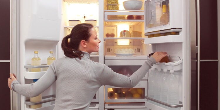 5 dicas para escolher a geladeira ideal para sua casa