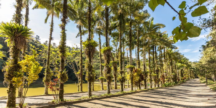 5 cidades brasileiras que se destacam pela segurança