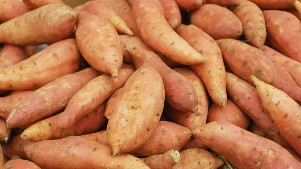 Alimentos