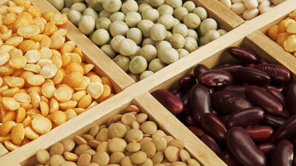 Alimentos