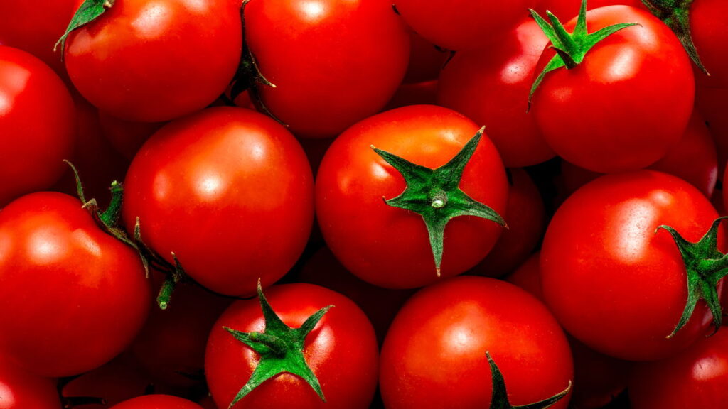 Alimentos